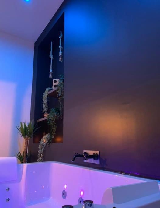 Appartement Spa - Nahleo Industriel 돌 외부 사진